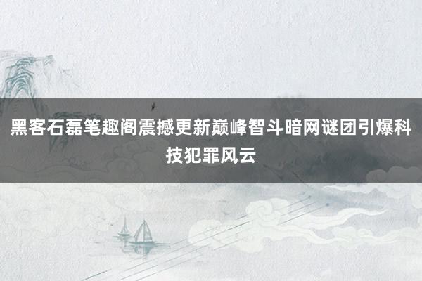 黑客石磊笔趣阁震撼更新巅峰智斗暗网谜团引爆科技犯罪风云