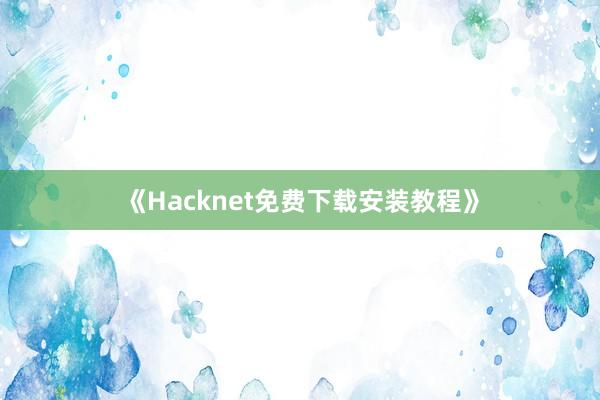 《Hacknet免费下载安装教程》